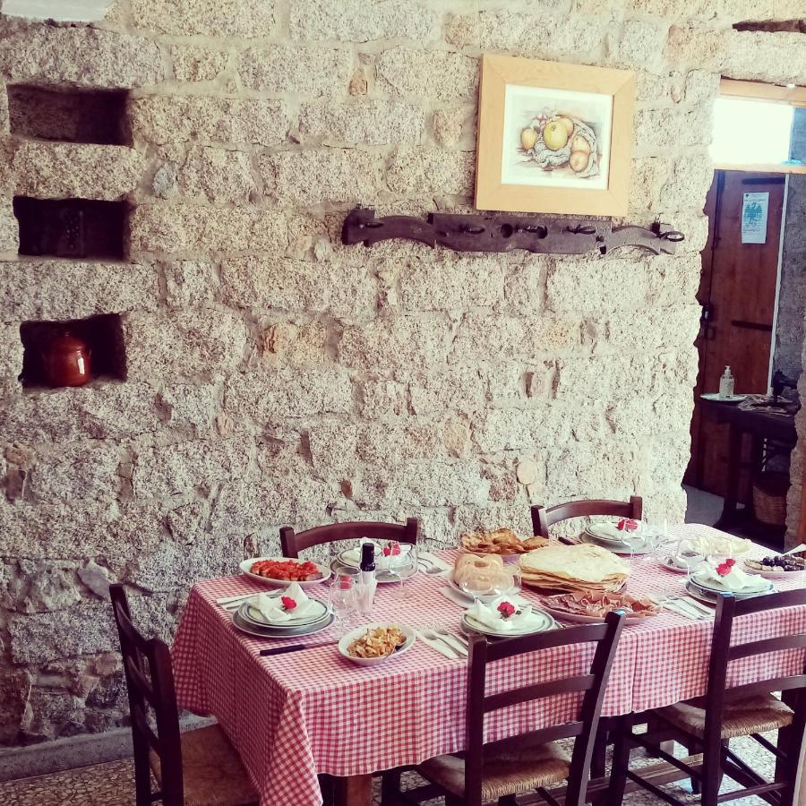 Antichi Sapori Da Speranza Vila Gavoi Exterior foto